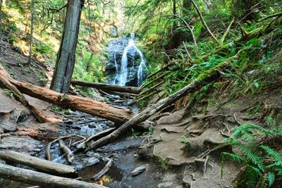 Moran State Park