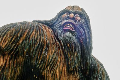 Bigfoot Neighbors