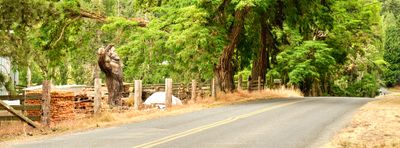 Bigfoot Neighbors