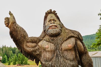 Bigfoot Neighbors