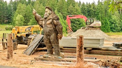 Bigfoot Neighbors