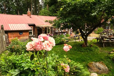 Orcas Island Pottery