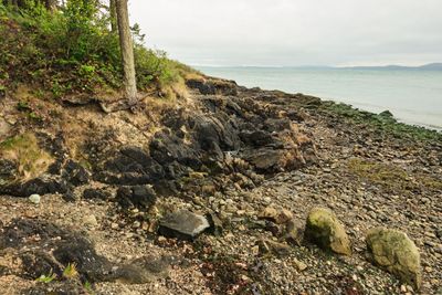 Green Point