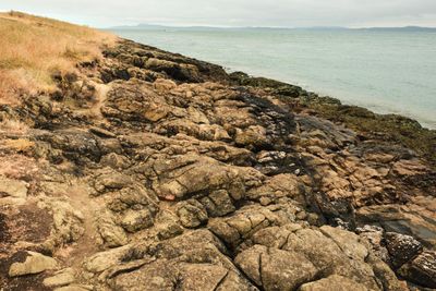 Green Point