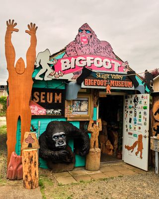 Skagit-Squatch Museum
