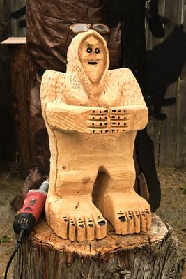 Skagit-Squatch Museum