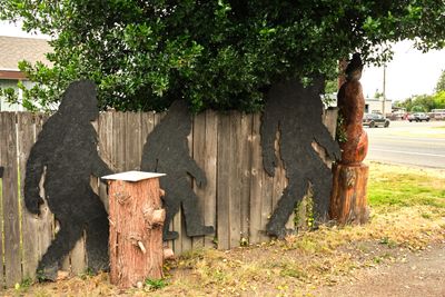 Skagit-Squatch Museum
