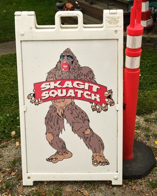 Skagit-Squatch Museum
