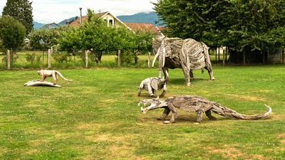 Driftwood Menagerie of Joe Treat