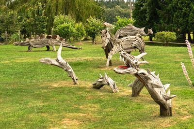 Driftwood Menagerie of Joe Treat