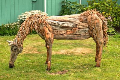 Driftwood Menagerie of Joe Treat