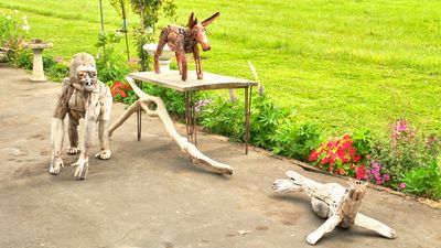 Driftwood Menagerie of Joe Treat