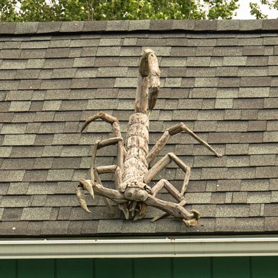 Driftwood Menagerie of Joe Treat