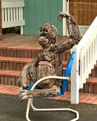 Driftwood Menagerie of Joe Treat
