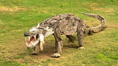 Driftwood Menagerie of Joe Treat