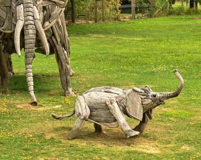 Driftwood Menagerie of Joe Treat