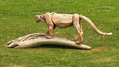 Driftwood Menagerie of Joe Treat