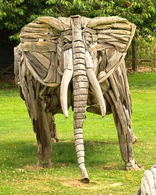 Driftwood Menagerie of Joe Treat
