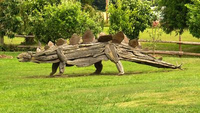 Driftwood Menagerie of Joe Treat