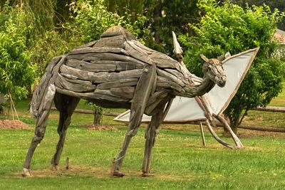 Driftwood Menagerie of Joe Treat
