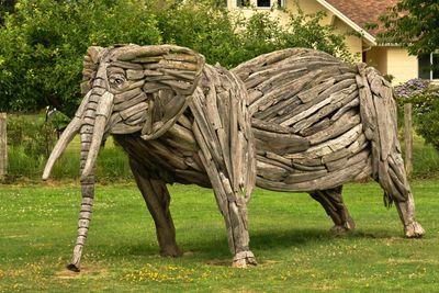 Driftwood Menagerie of Joe Treat
