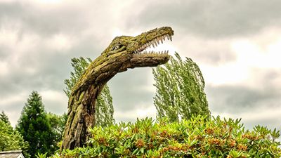 Driftwood Menagerie of Joe Treat