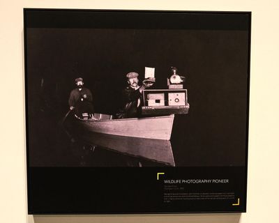 Whatcom Museum