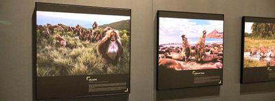 Whatcom Museum