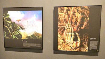 Whatcom Museum