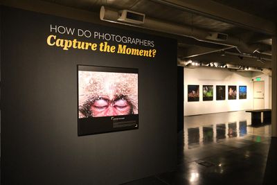 Whatcom Museum