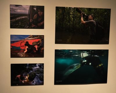 Whatcom Museum