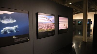 Whatcom Museum