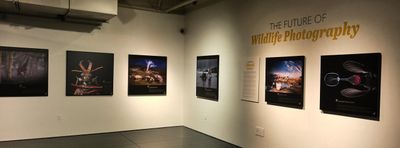 Whatcom Museum