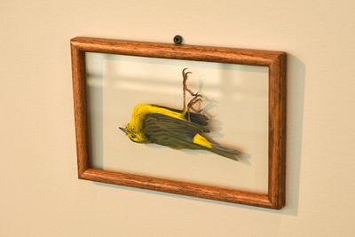 Whatcom Museum