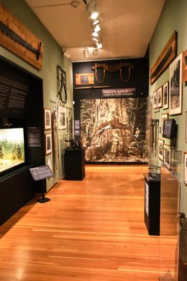 Whatcom Museum