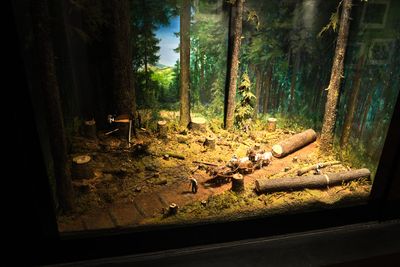 Whatcom Museum