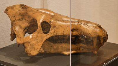 Whatcom Museum