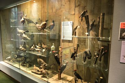 Whatcom Museum