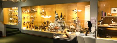 Whatcom Museum