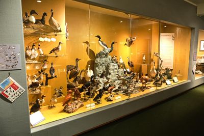 Whatcom Museum