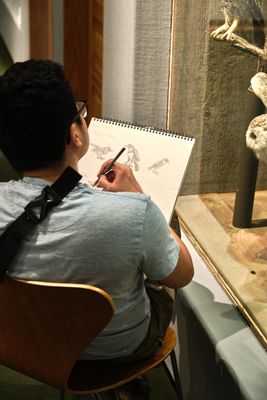 Whatcom Museum