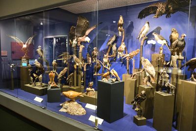 Whatcom Museum