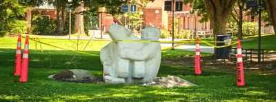 Man Humping Bear