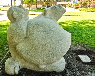 Man Humping Bear