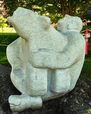 Man Humping Bear
