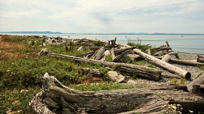 Point Roberts, Washington