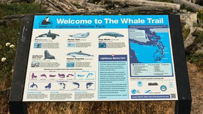Point Roberts, Washington