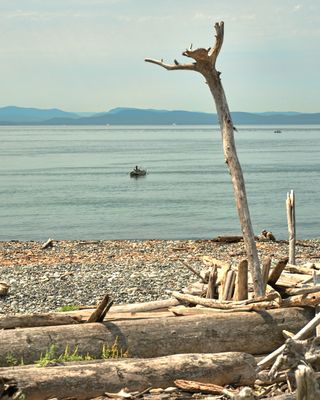 Point Roberts, Washington