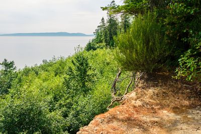 Point Roberts, Washington