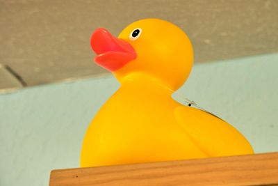 Historical Rubber Duck Museum
